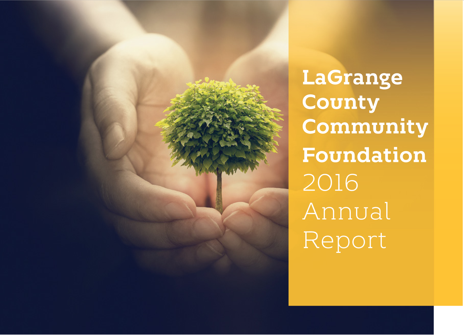 2016 Annual Report