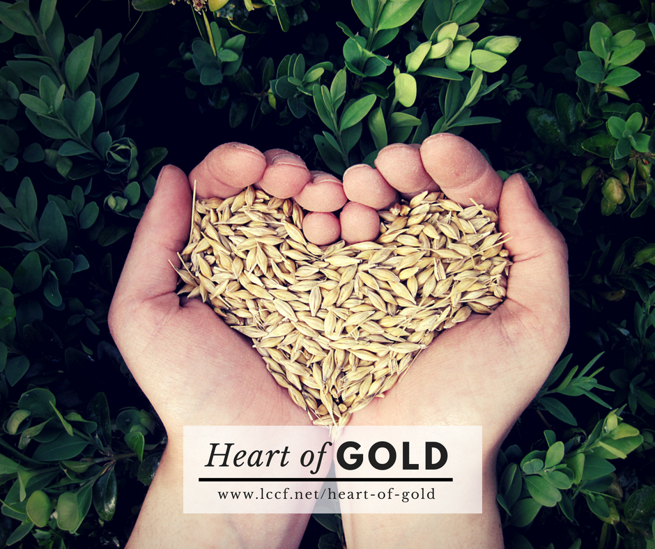 Heart of Gold nominations now being accepted