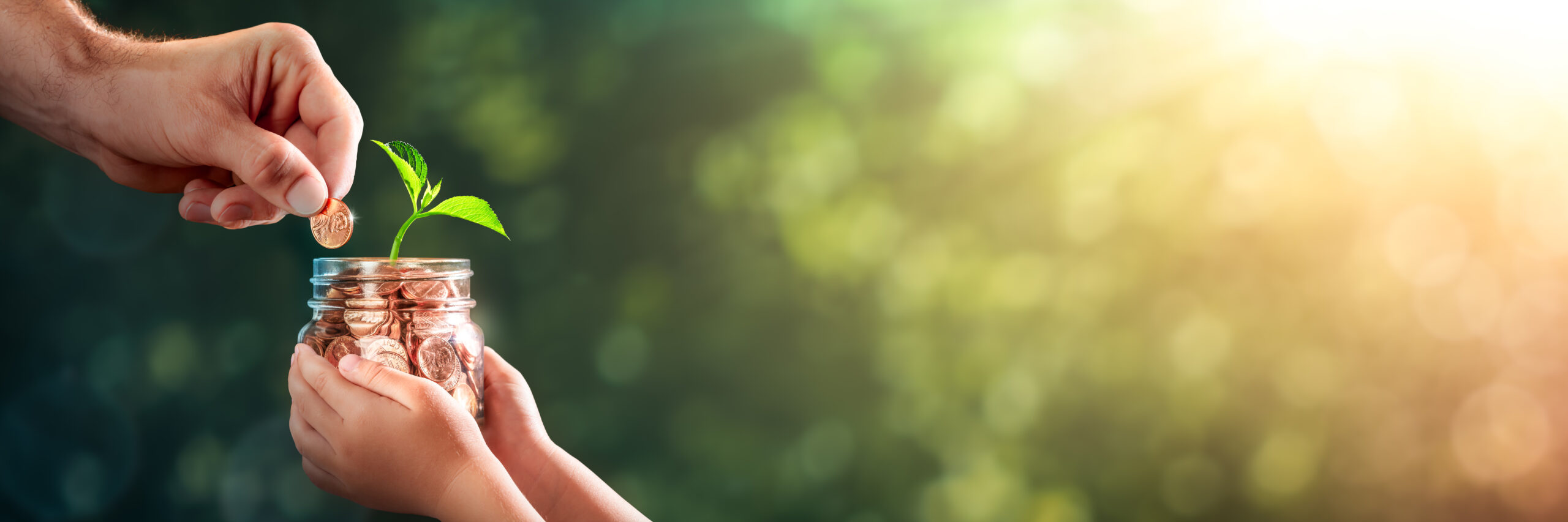 Year-End Giving Tips