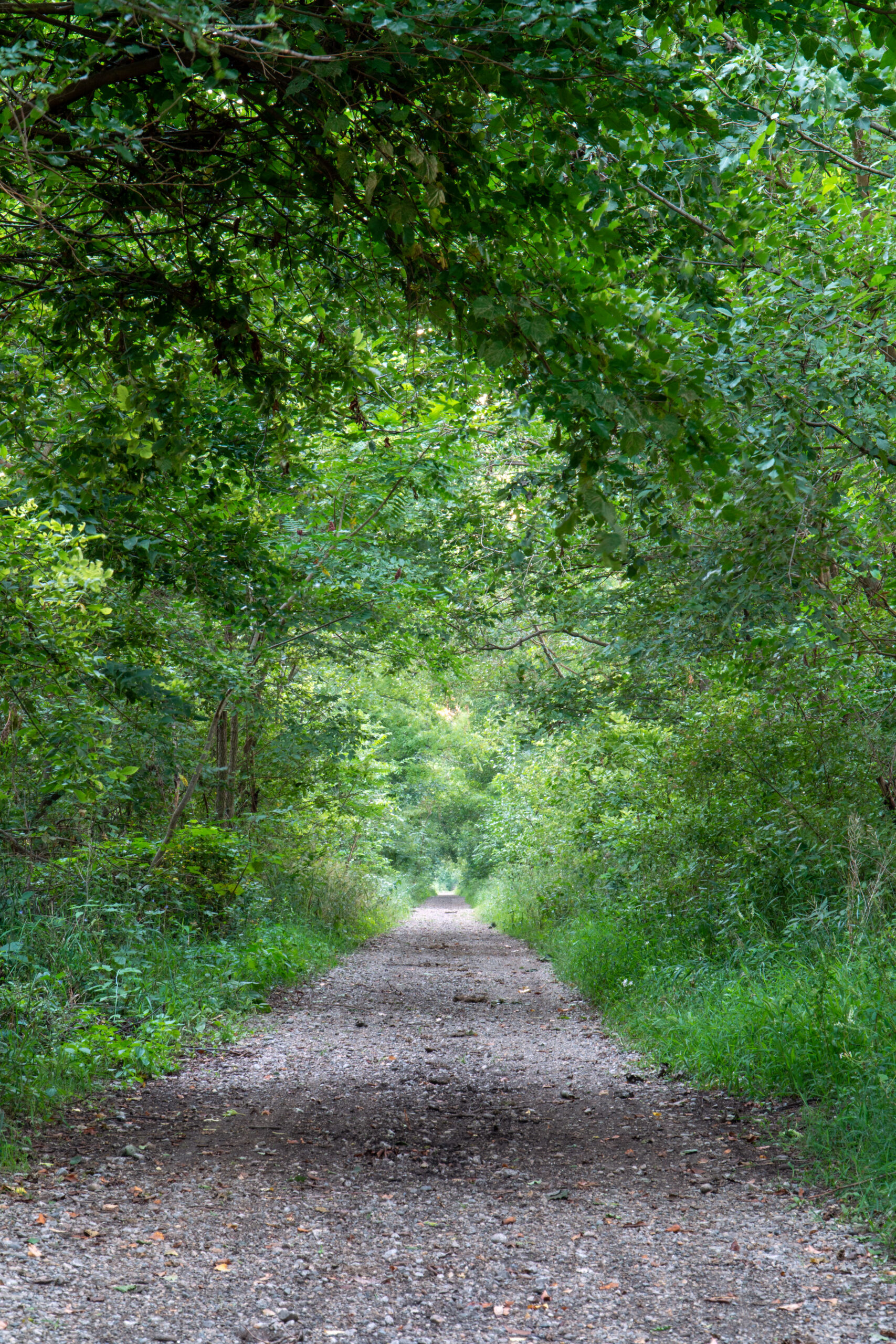 $5 Million Grant Paves the Way for Hawpatch Trail in Topeka